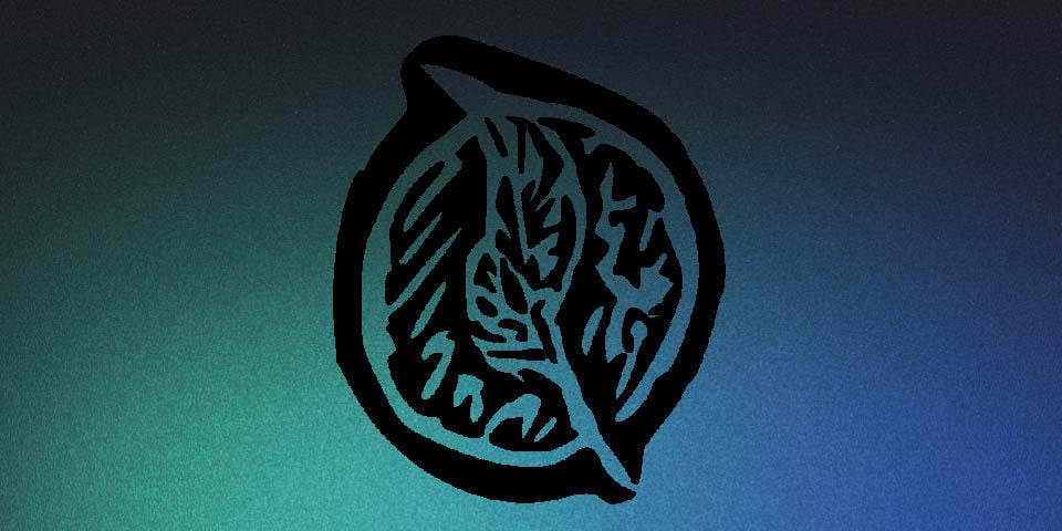 Personal Website & Blog